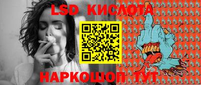 PSILOCYBIN Заволжье
