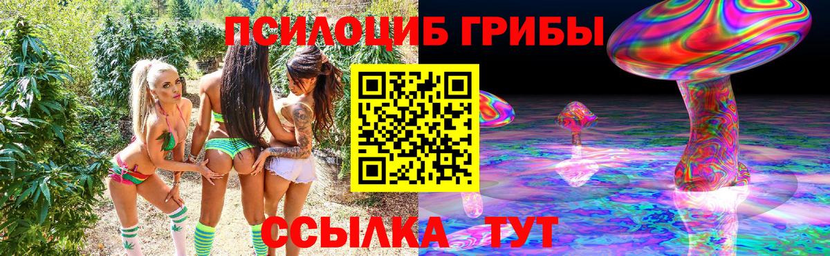 Псилоцибиновые грибы Psilocybine cubensis  Вход с VPN  Буйнакск 